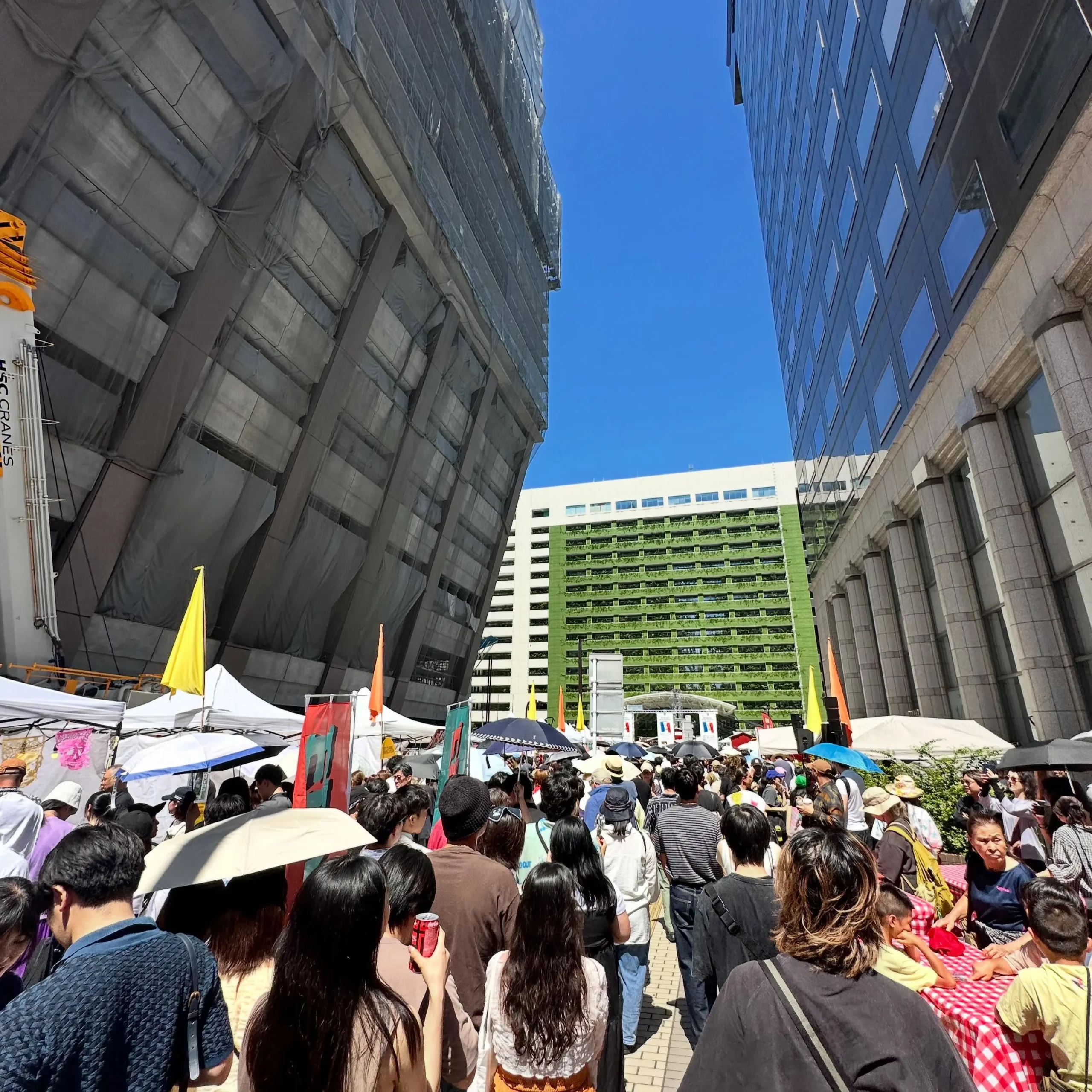 多くの人で賑わうタコスフェスの会場の通り